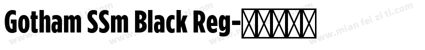 Gotham SSm Black Reg字体转换
